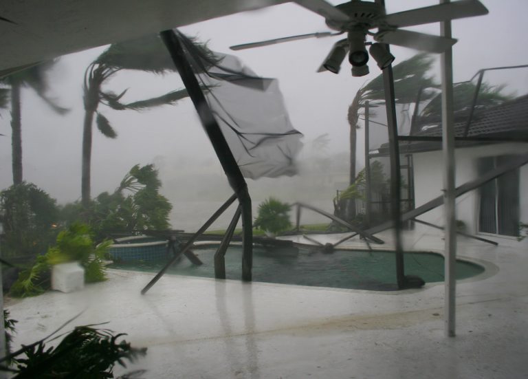 Back garden and patio ripped apart amid hurricane, palm trees can be seen flailing in the extreme winds