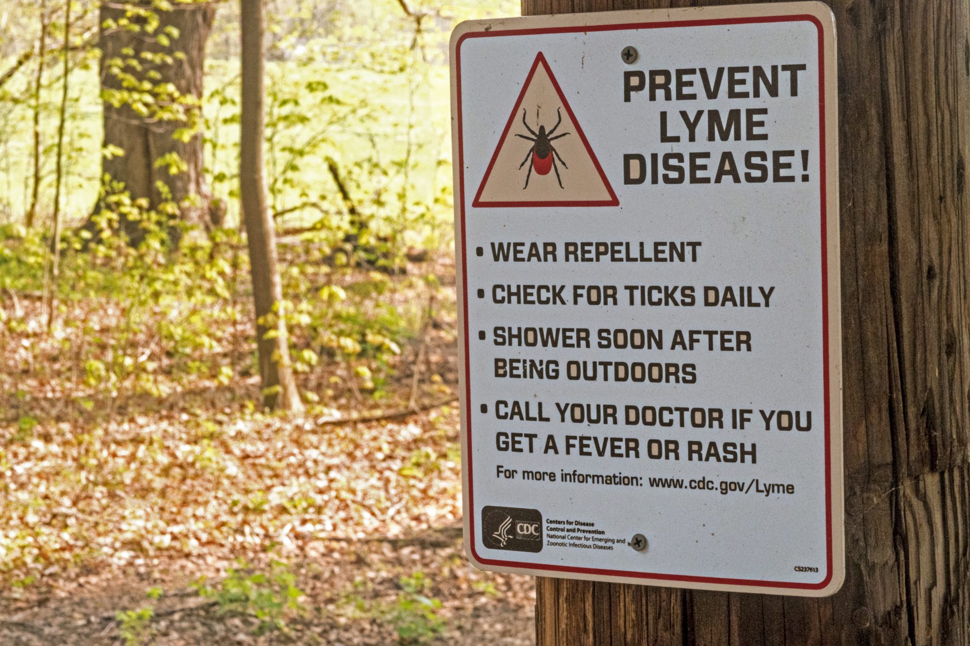 Sign in wooded area reading 'PREVENT LYME DISEASE'