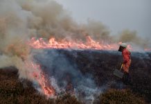 Volunteer firefighter trying to put out fire on heathland, surrounded by plumes of smoke