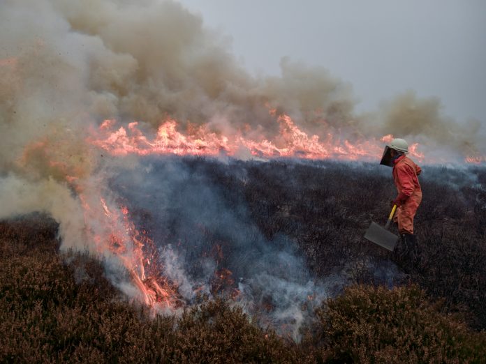 Volunteer firefighter trying to put out fire on heathland, surrounded by plumes of smoke