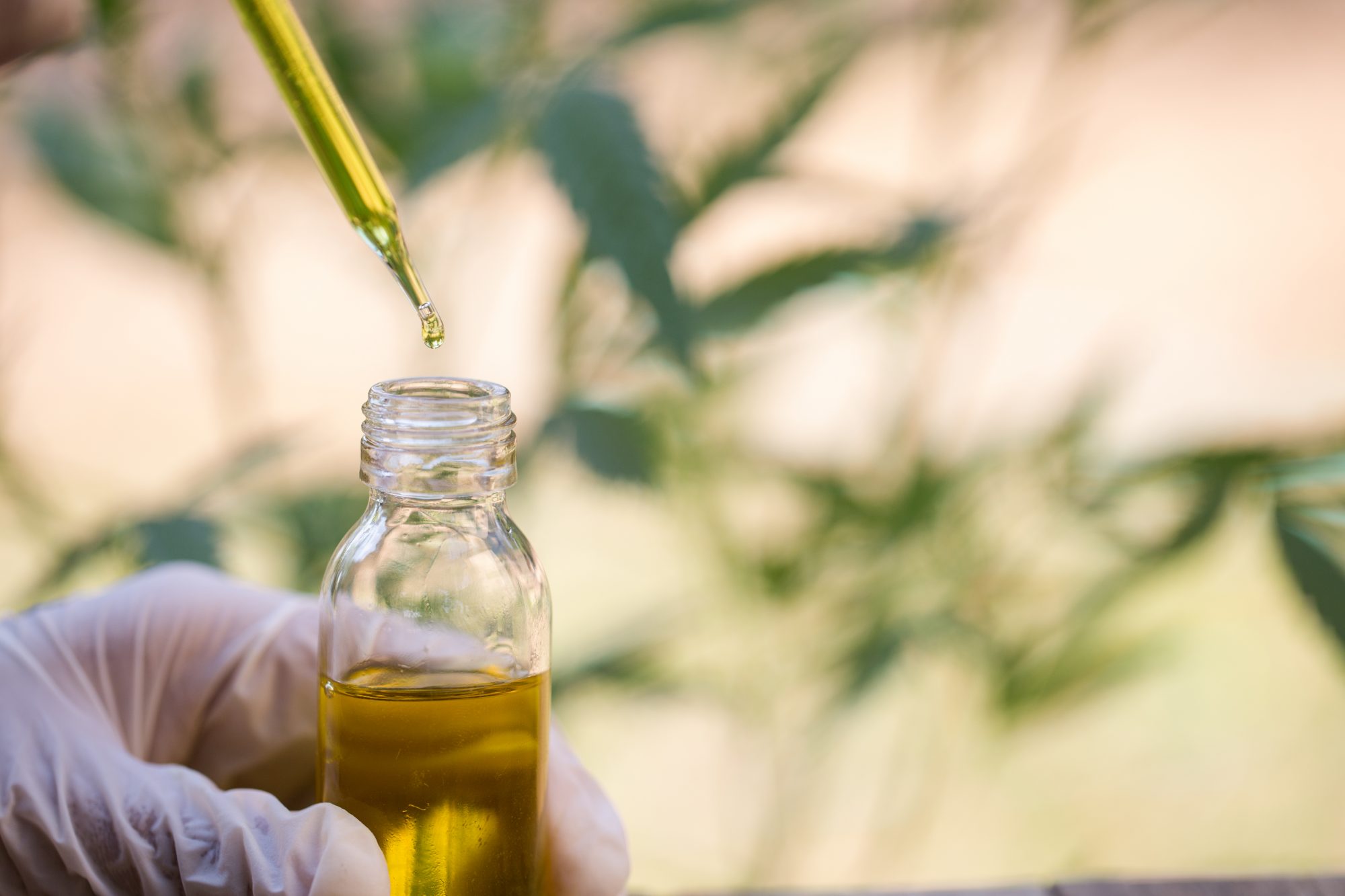 Gloved hand holding bottle of CBD and pipette