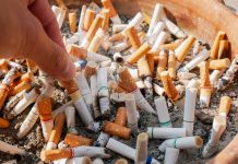 Cigarette butts discarded in plant pot