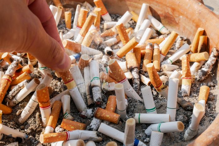 Cigarette butts discarded in plant pot