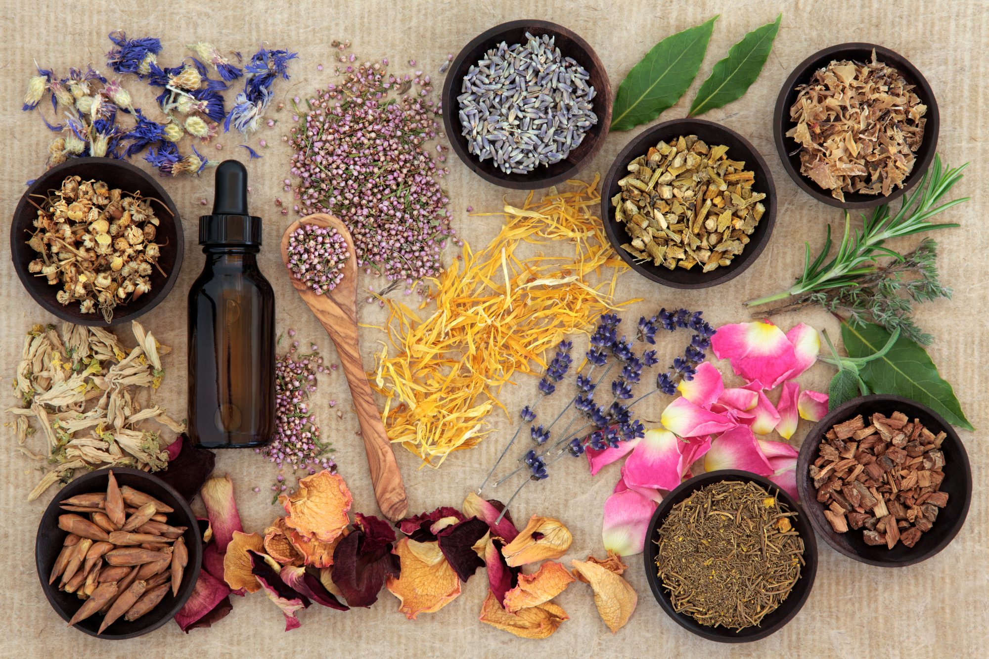 essential oils and seeds lay out on a table