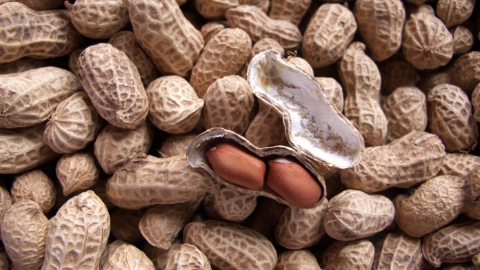 Macro pic of peanut texture