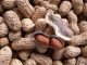 Macro pic of peanut texture