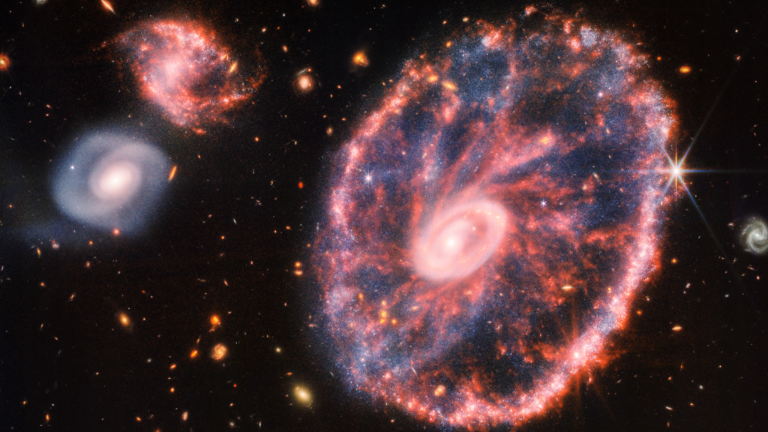 Exploring the Cartwheel Galaxy through James Webb