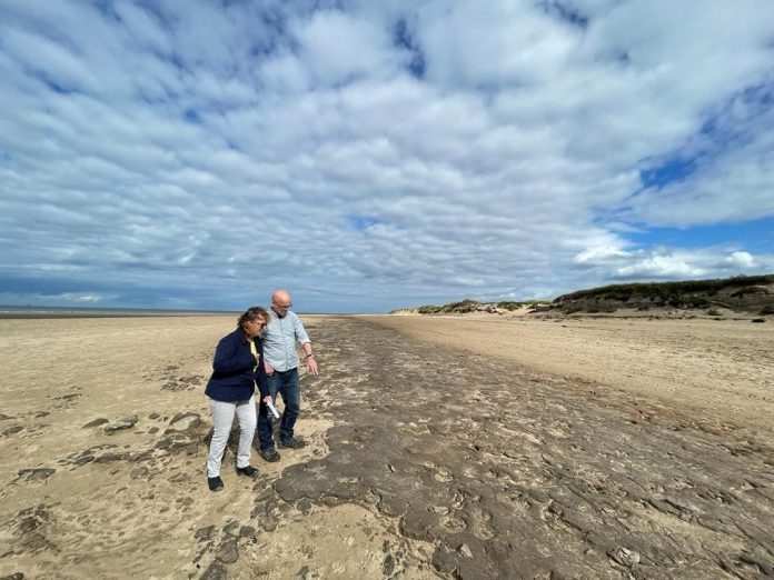 Man and woman looking down at ancient footprints on beach in Formby