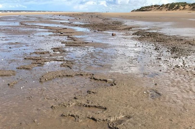 Prehistoric footprints on beach