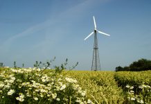 windmill in agriculture