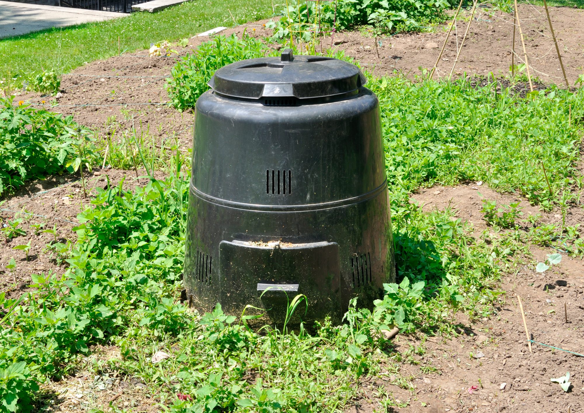 compost bin