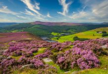 Peak District views