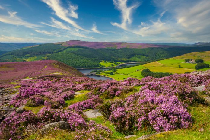 Peak District views