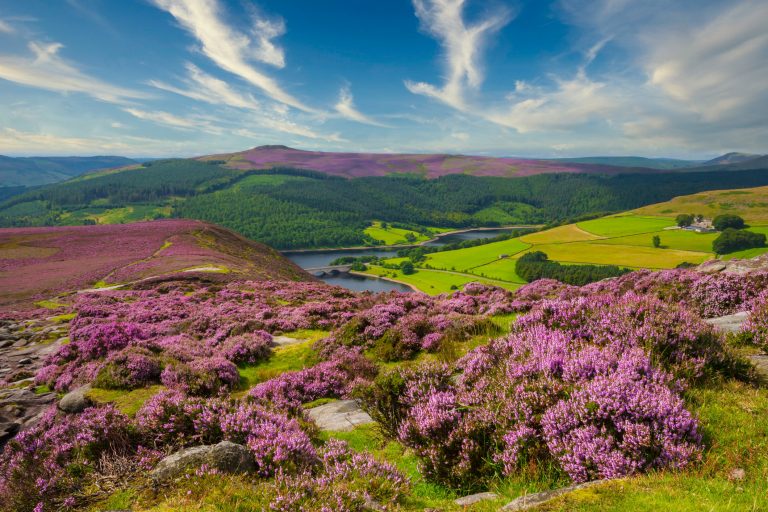 Peak District views