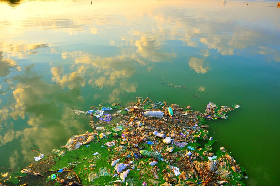 Polluted, dirty Black sea in Romania with plastic waste in the water