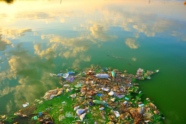 Polluted, dirty Black sea in Romania with plastic waste in the water