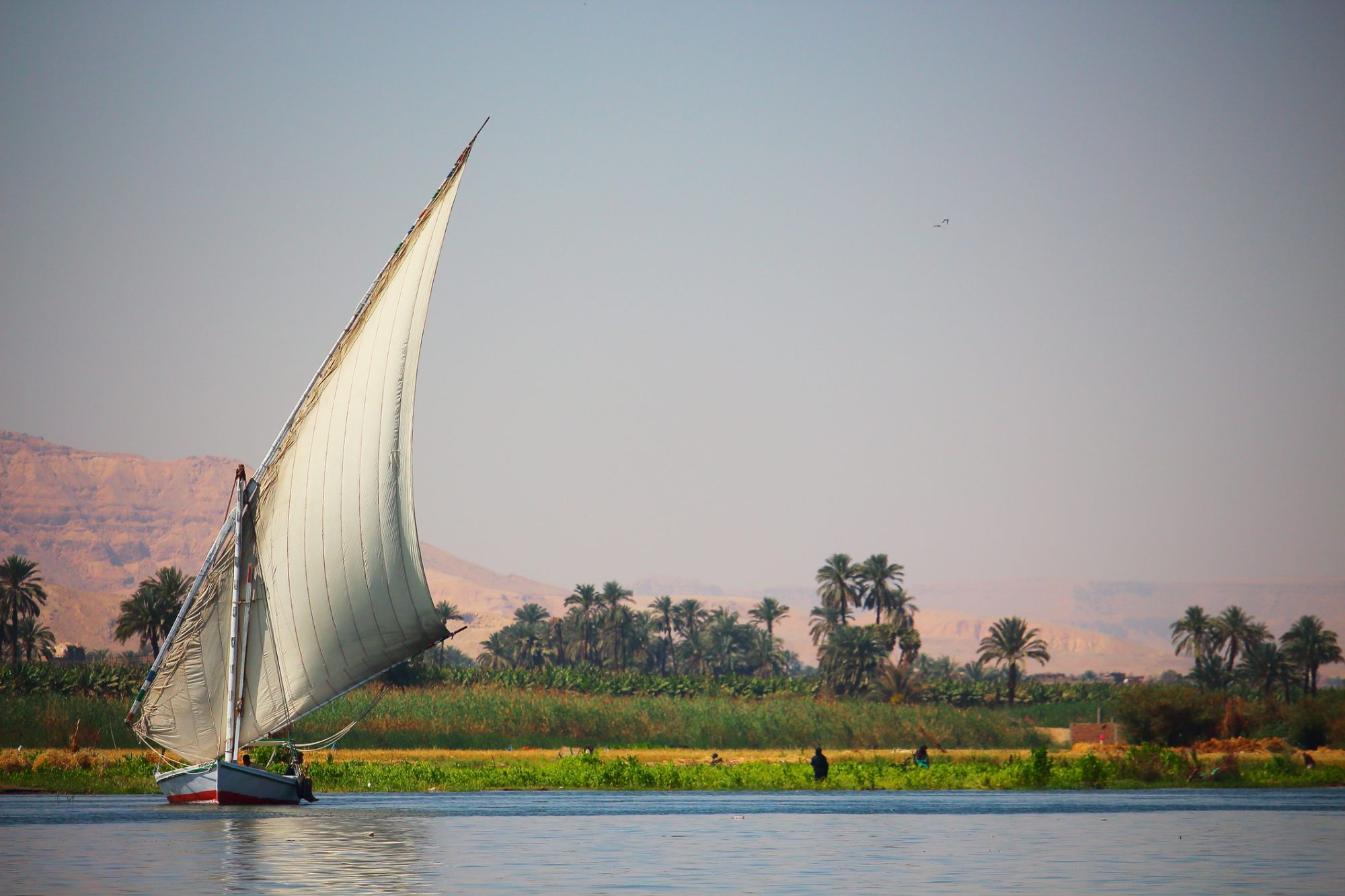 sailing transport in Egypt 