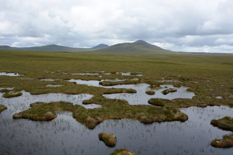 Peatland