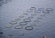 Example of an Aquaculture site, fish farming