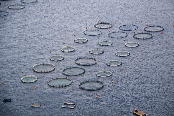 Example of an Aquaculture site, fish farming