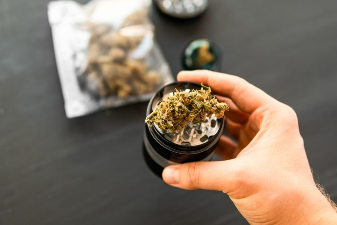 Person holding grinder for cannabis