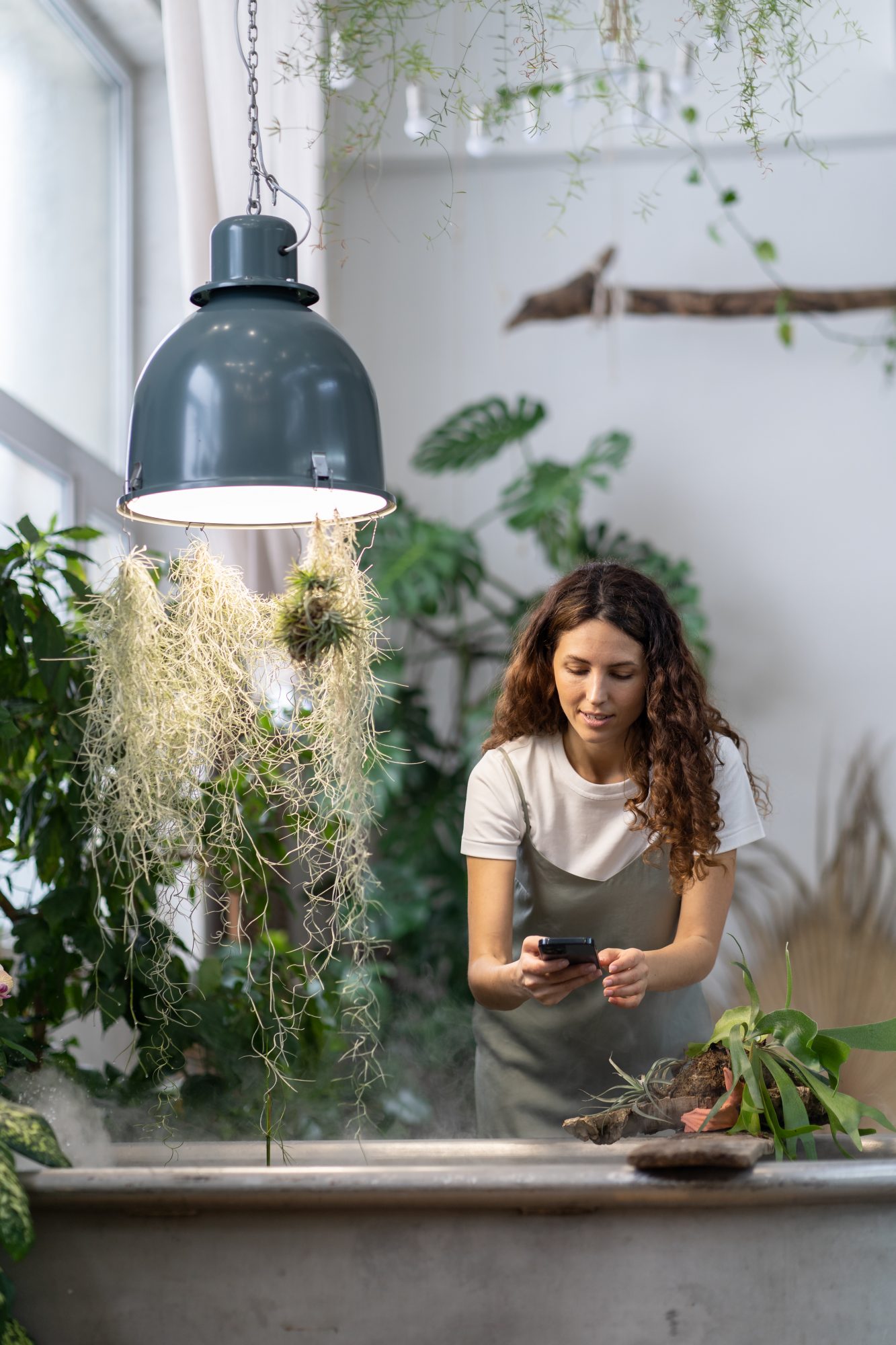 Woman taking photos of plants over bath in room surrounded by houseplants 