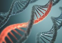 Long structure of the DNA double helix in depth of view.