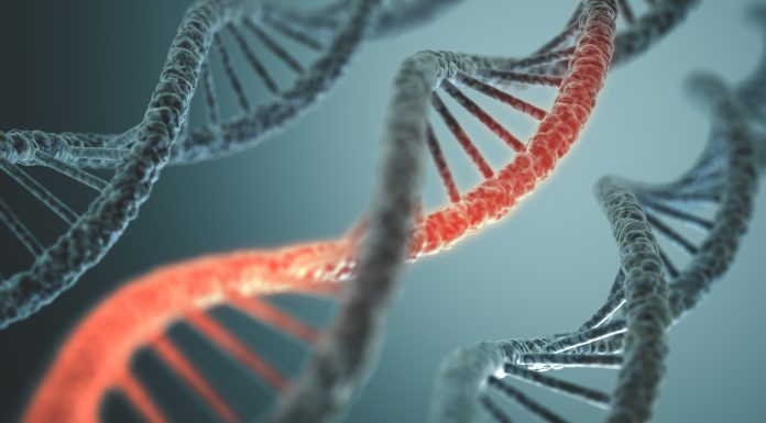 Long structure of the DNA double helix in depth of view.