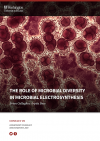 The role of microbial diversity in microbial electrosynthesis