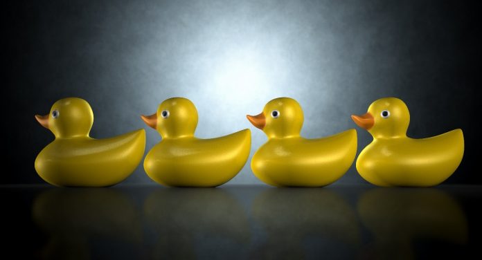 Four yellow rubber ducks sitting in a row against a dark blue green background