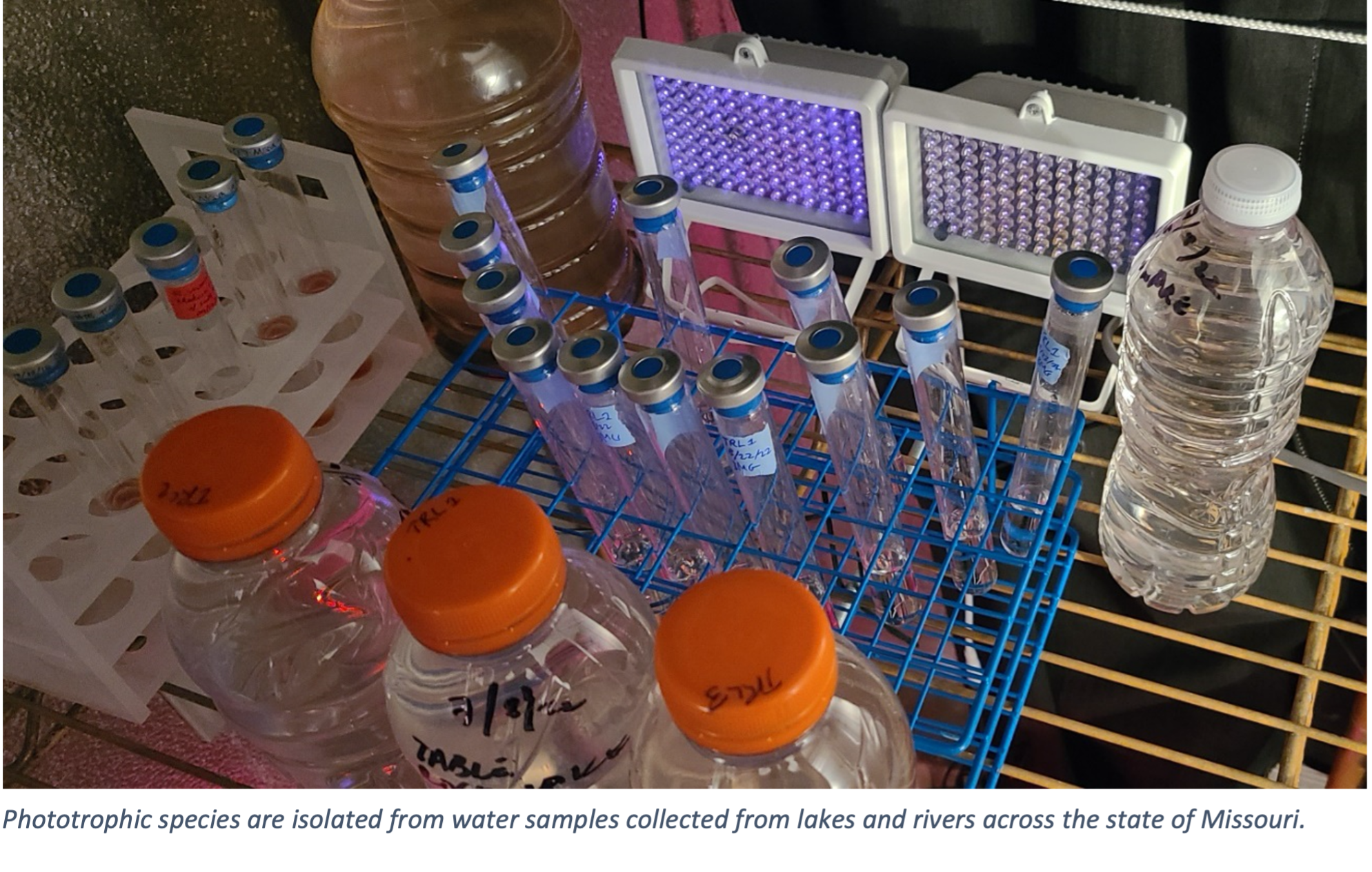 microbial electrosynthesis