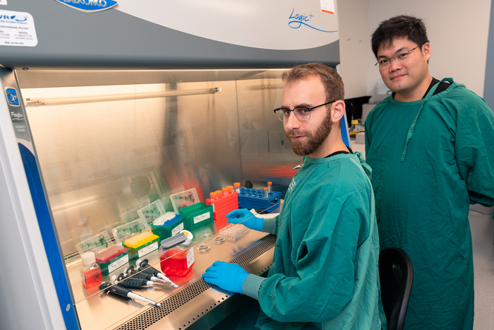 Cortical Labs Chief Scientific Officer, Dr Brett J. Kagan (seated), and Chief Executive Officer, Dr Hon Weng (standing), conducting cell work on multielectrode arrays in a biosafety hood