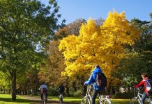 children cycling on the way to school