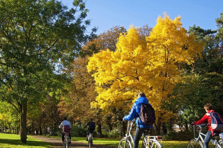 children cycling on the way to school