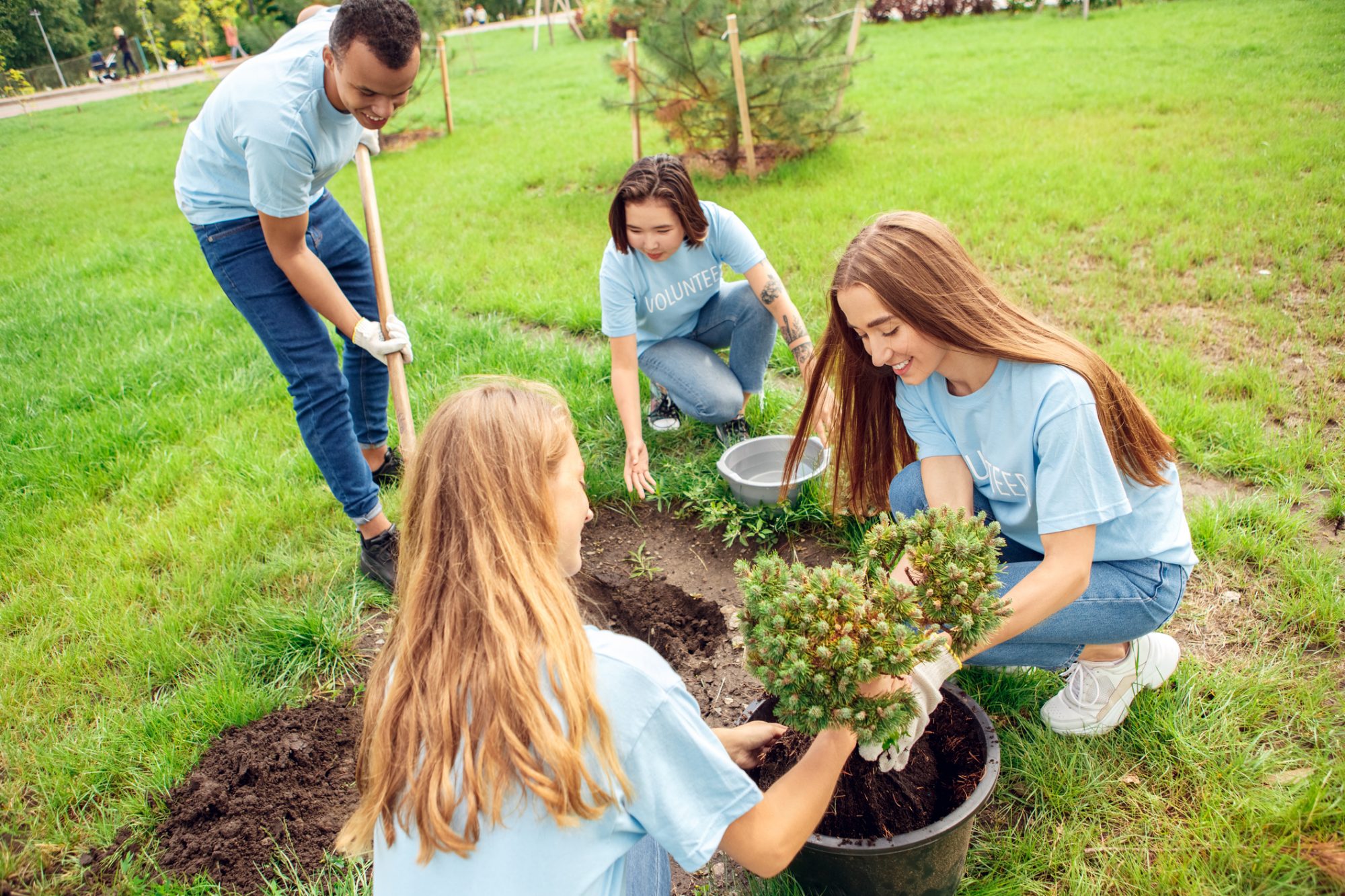 volunteers in nature 