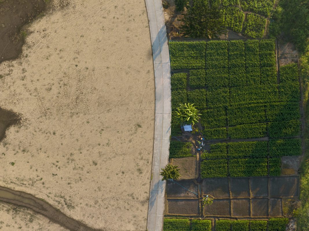 Dry cracked land and drying river and Green abundance of crop plant and trees metaphoric World climate change and Ecological collapse.