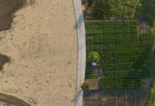 Dry cracked land and drying river and Green abundance of crop plant and trees metaphoric World climate change and Ecological collapse.