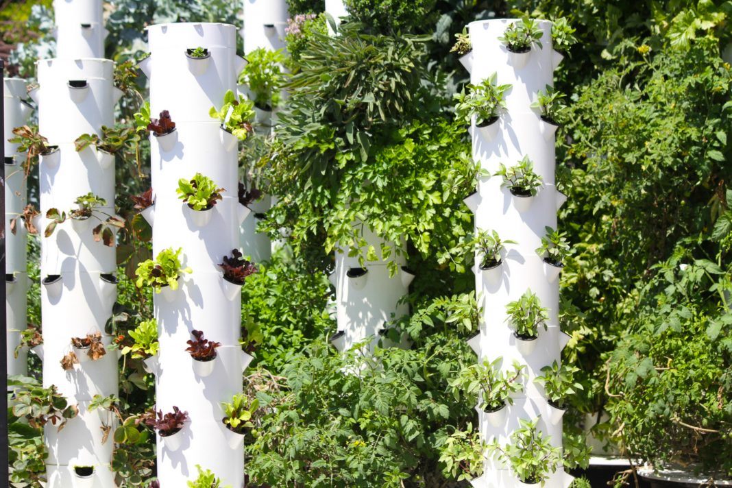 garden towers of food systems