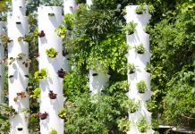garden towers of food systems