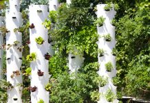 garden towers of food systems