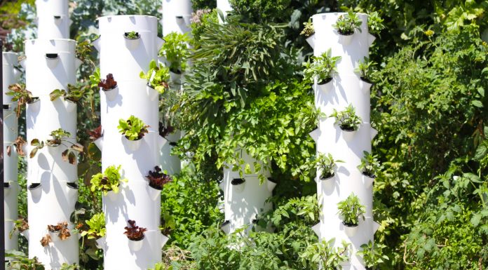 garden towers of food systems