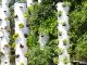 garden towers of food systems