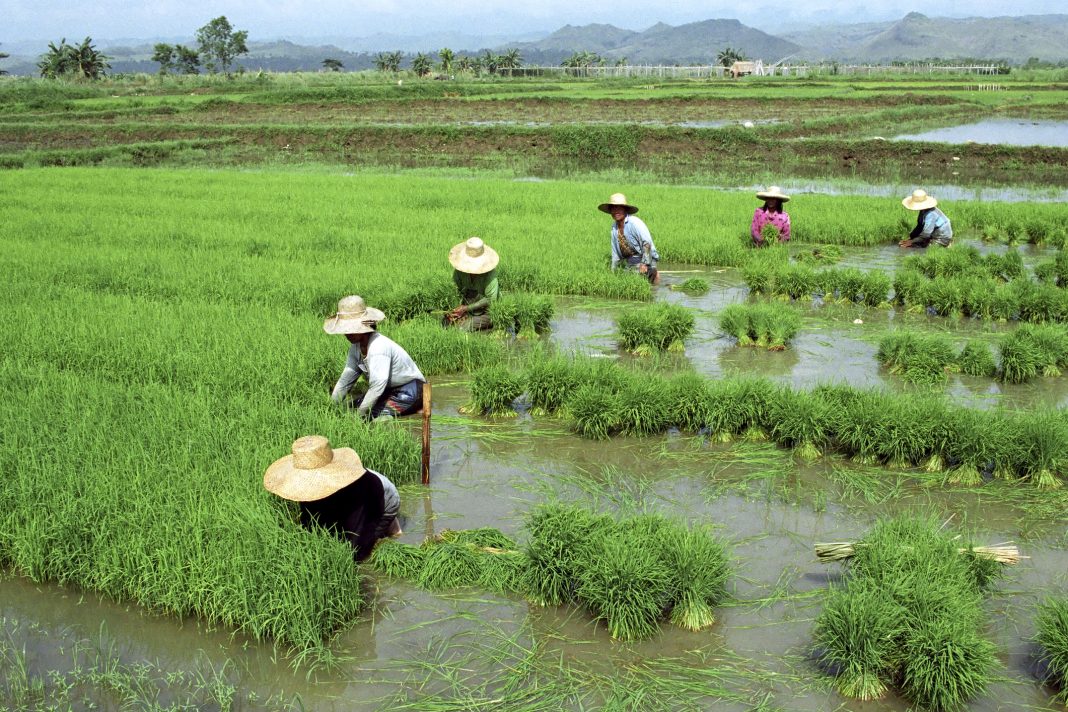 Agriculture Water