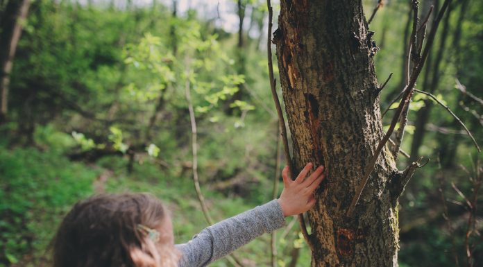 child exploring nature