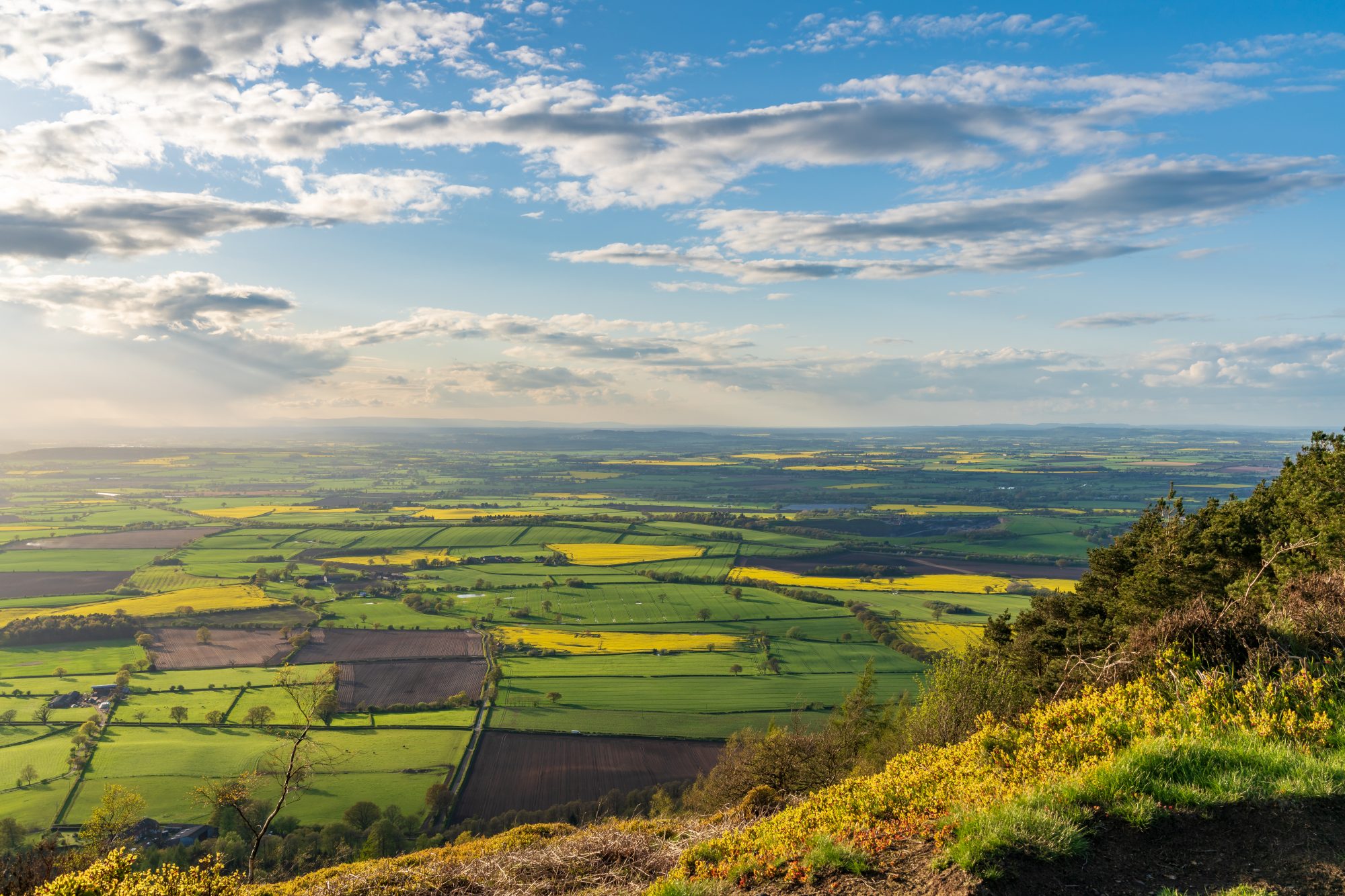 Promoting Wellbeing In Telford And Wrekin Council