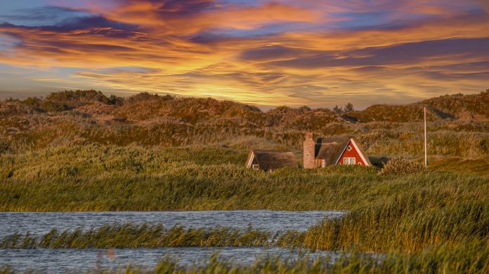 Small red house surrounded by beautiful grassy dunes under a sunset on the Danish west coast