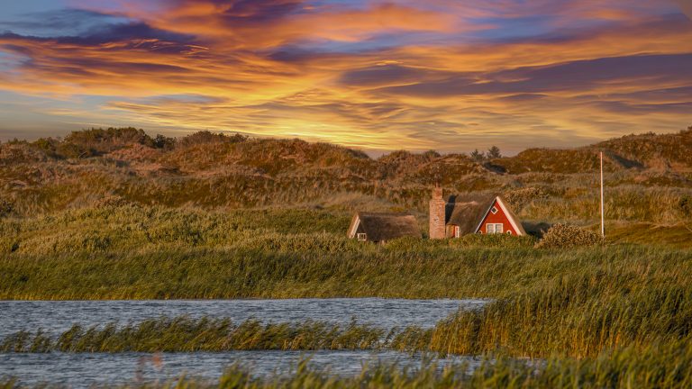 Small red house surrounded by beautiful grassy dunes under a sunset on the Danish west coast