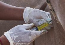 Paravet treats donkey in Senegal, image depicts woman's gloved hands injecting donkey