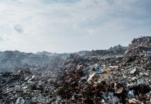Microplastics and plastic pollution