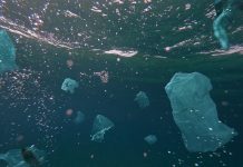 plastic pollution in the ocean